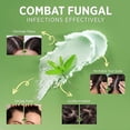 thumbnail image 3 of Roycederm Tea Tree Scalp Scrub – Pre-Shampoo Exfoliating Treatment for Dry, Flaky Scalp – Deep Cleansing, Refreshing & Balancing Formula for Healthy-Looking Hair, 3 of 8