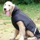 thumbnail image 3 of Abrigo impermeable grande para perros Greeniant Negro M, 3 of 6