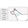 thumbnail image 3 of Adjustable Dog Muzzle 6 Sizes Blue (XS: 5.5"-7.5" Snout Circumf.), 3 of 3