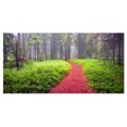 thumbnail image 2 of Desert Footpath to Misty Forest - Landscape Photography Canvas Print, 2 of 3
