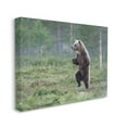 thumbnail image 4 of Stupell Industries Dancing Bear in Forest Animals & Insects Photography Gallery Wrapped Canvas Art Print Wall Art, 48 x 36, 4 of 8