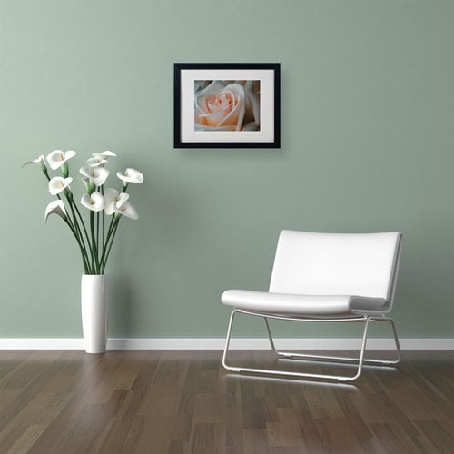 Trademark Fine Art "Perfezione" by Monica Fleet, Black Frame