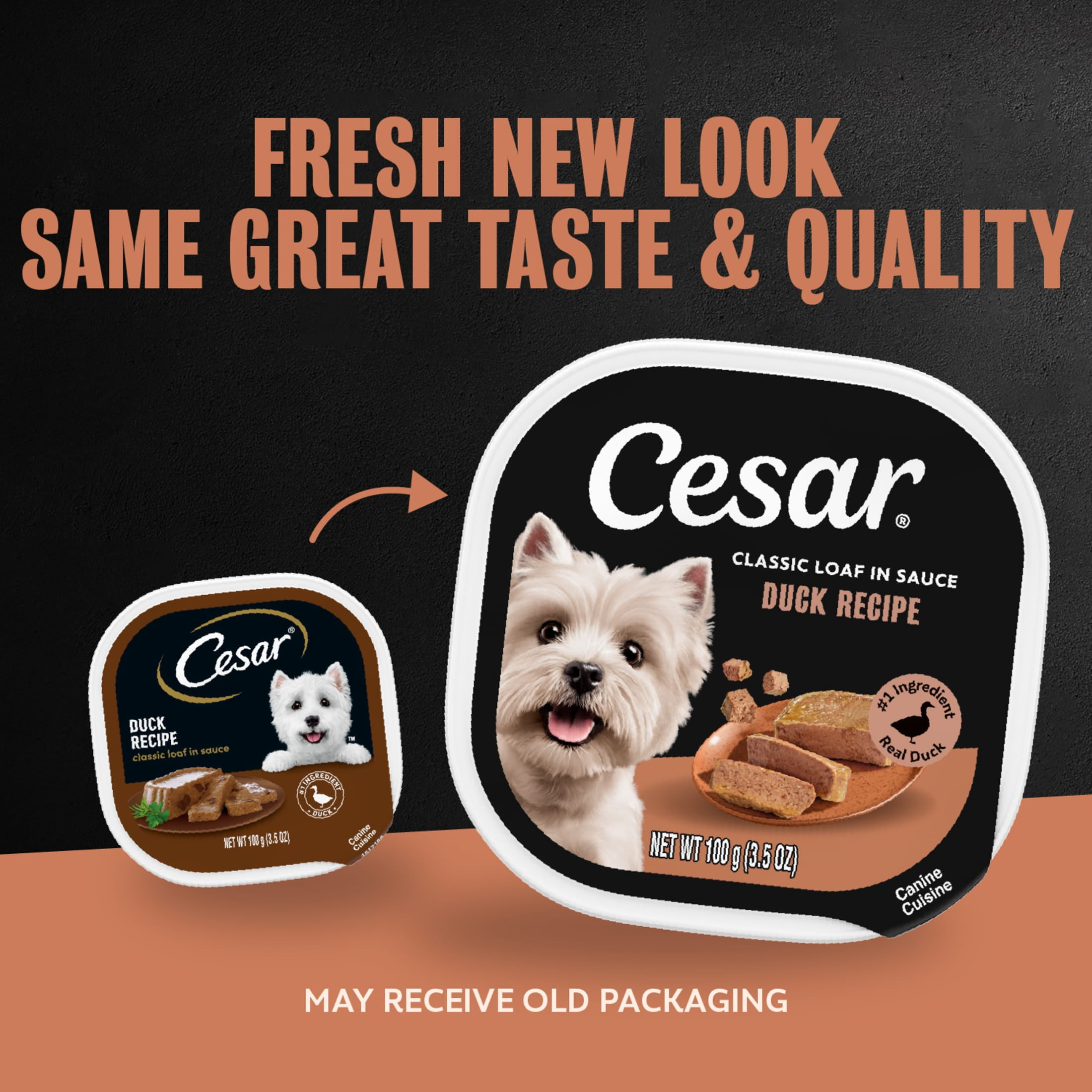 Cesar Classic Loaf in Sauce Wet Dog Food Duck Flavor, 3.5 oz. Easy Peel Trays, 24 Count