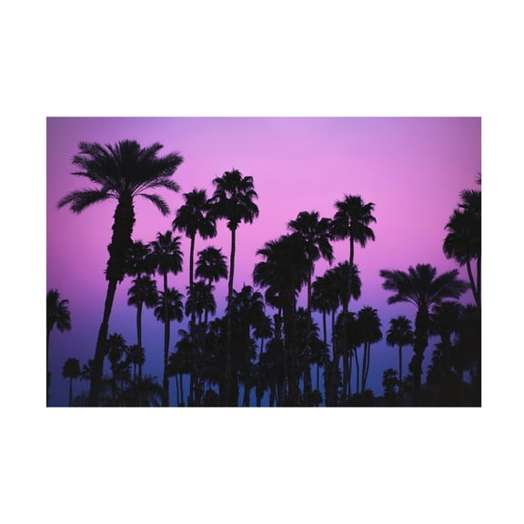 Trademark Fine Art Tim Mossholder Palms With Pink Sky Canvas Wall Art
