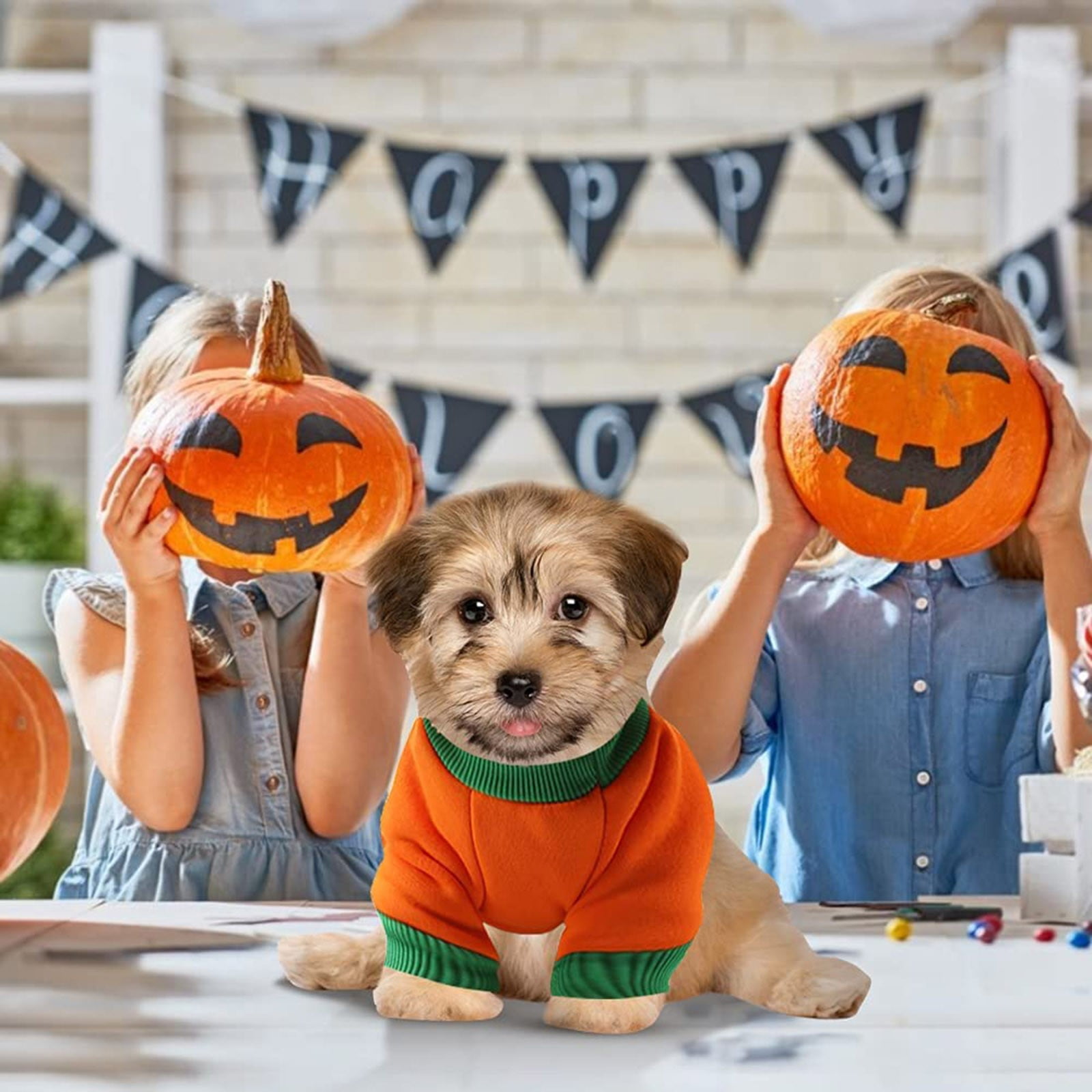 halloween costumes for yorkies dogs