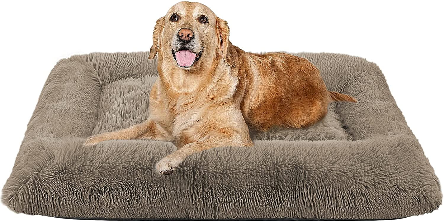 cheap dog beds medium