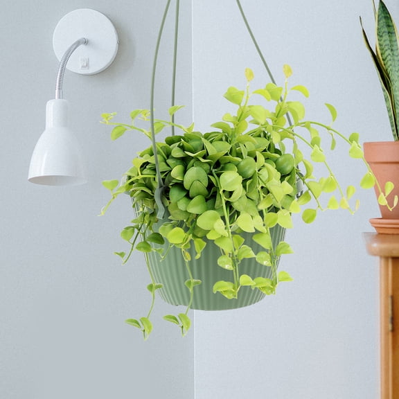OUNONA 6Pcs Hanging Planters in Green Plastic for Office Living Room and Outdoor Garden
