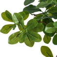 thumbnail image 5 of Studyset Artificial Plants Indoor, 5FT Fake Black Olive Tree with 50 LED Lights Tall Fake Plants in Plastic Nursery Pot Fake Tree Artificial Trees for Home Dr Office Living Room, 5 of 6
