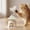Green_Hot#589, variant on Rotating Cat Dog Interactive Ice Shaver Toy | 360° Motion Pet Teaser with Bell & Feather, Snack Leak Puzzle, Durable Plastic, Blue/Yellow/Green, 5.6x5.3in | Home Pet Entertainment
