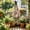 #01 Black【1 x Climbing trellises】, variant on Garden Trellis for Climbing Plants, Support Plant Stand for Indoor and Outdoor, Potted Plants Flowers Vegetables Vines – Tomato Cage Tower for Garden or Balcony by IHHXPRO (Style A,1 Pack )