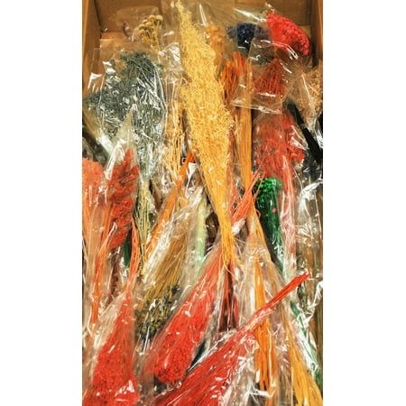 Dried Mixed Floral Supply Box (Great Sample Box) -- Case of 6 Boxes