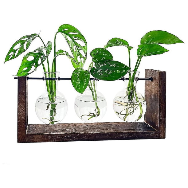 Terrario de plantas, estación de propagación de mesa Compatible con plantas hidropónicas con soporte de madera Compatible con regalos Hom