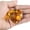 Gold, variant on CIYISON 4.5cm Crystal Heart Prism Suncatchers Window Sun Catchers Door Porch Hanging Decorations Rainbows Maker Pendant