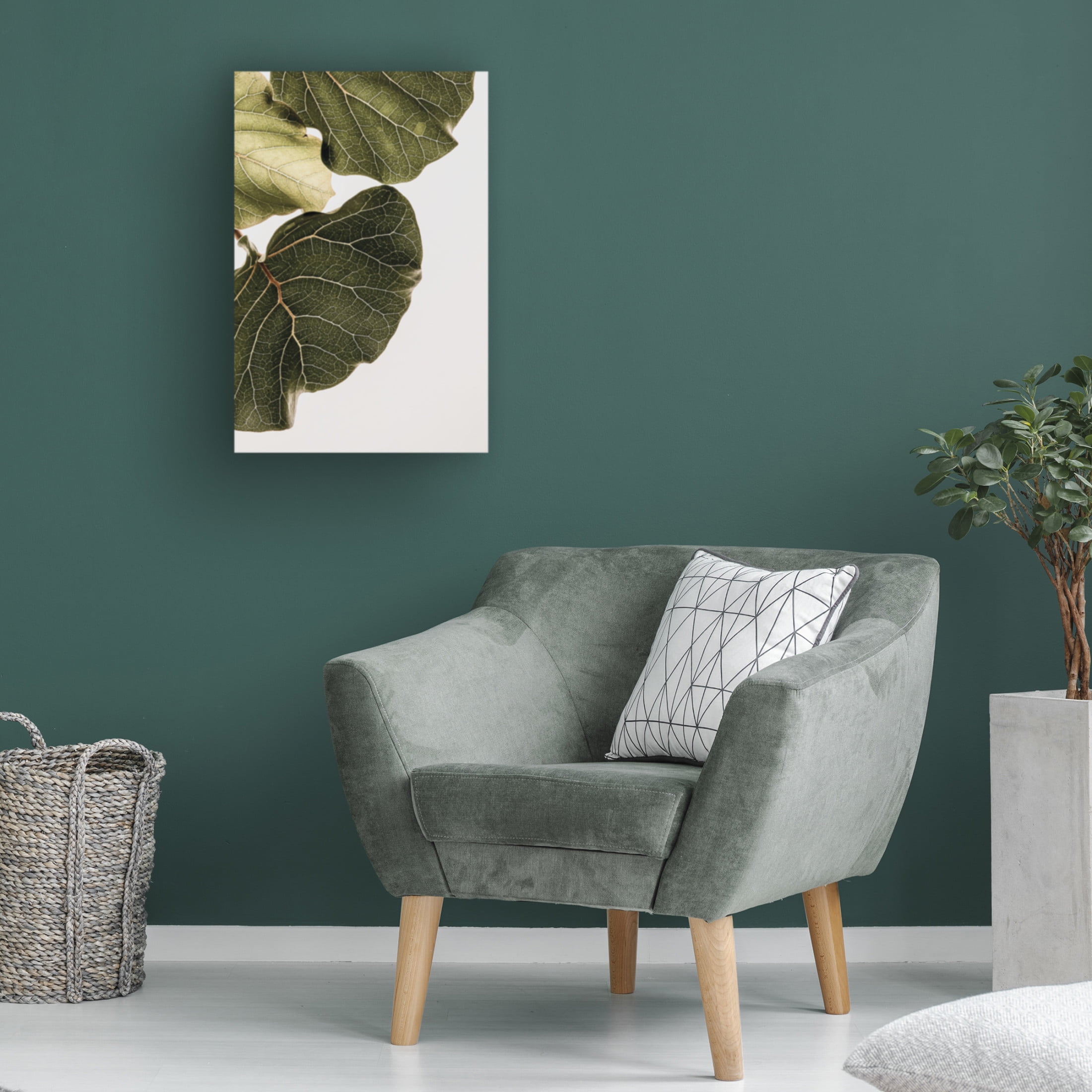 Trademark Fine Art Shot by Clint Abutifolia No1 Canvas Wall Art