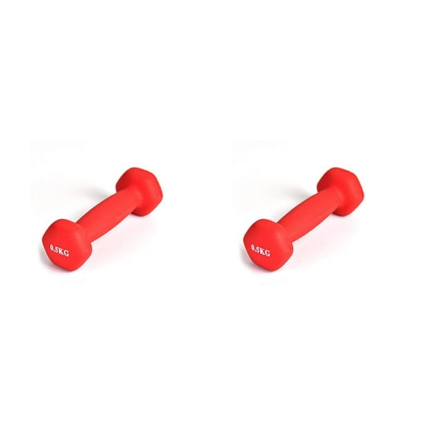 2x 0.5KG Vinyl Dumbbells Solid Dumbell Arm Hand Dumbbell Gym Weights  Strength