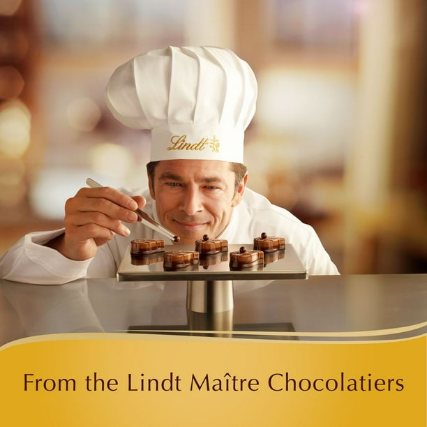 Lindt SWISS LUXURY SELECTION Assorted Chocolate Pralines Gift Box