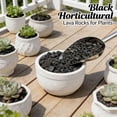 thumbnail image 3 of Black Lava Rocks for Plants, 350g Pure Volcanic Rock Lava Stones Top Dressing for Cacti Succulents Plants, Bonsai, 3 of 8