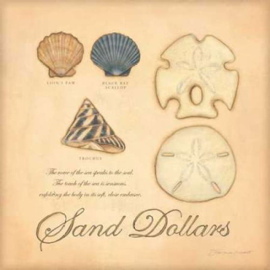 Sand Dollars Canvas