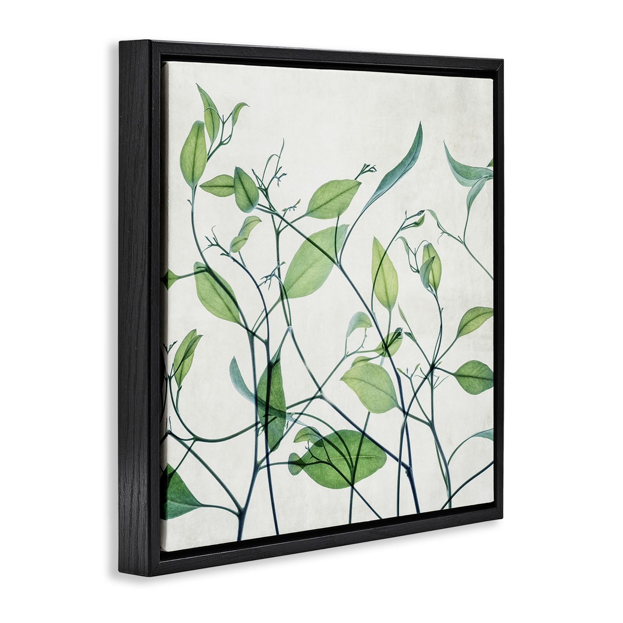 Stupell Industries Modern Vine Pattern Botanical & Floral Painting Black Floater Framed Art Print Wall Art, 18 x 18