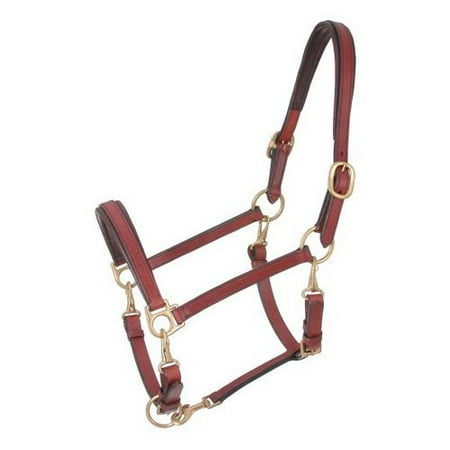 Royal King 4-Way Stable/Grooming Halter