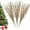 Gold, variant on Christmas Glitter Berry Stems,Xmas Tree Picks Curly Sprays,Artificial Twigs Branches Decorations,Sparkle Faux Branches for Festival Winter DIY Crafts,12 Pcs Vase Fillers Decorative Sticks