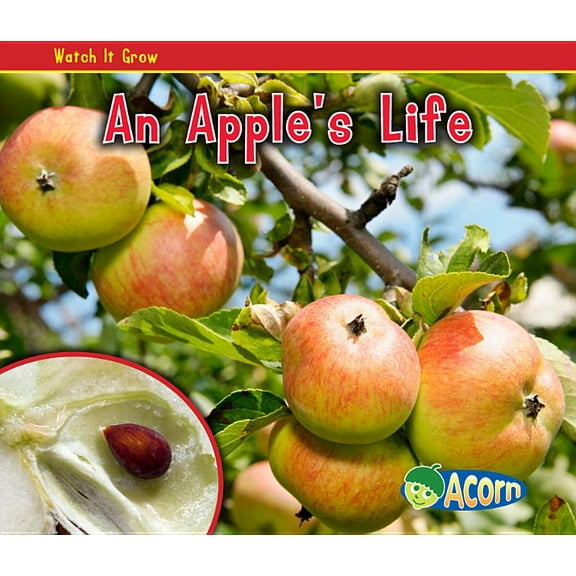 Watch It Grow An Apple's Life, (Paperback)