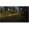 thumbnail image 4 of Videojuego THQ Nordic WAY OF THE HUNTER, 4 of 5