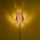 thumbnail image 4 of Luz de pared 3D de búho, águila, León, estatua, luces nocturnas, candelabros de animales, decoraciones modernas para el hogar, dormitorio, regalos de navidad, 4 of 4