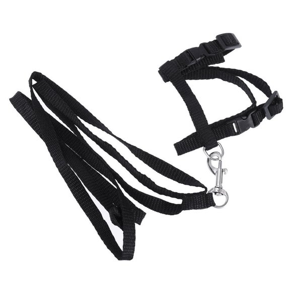 HLONK Harnais pour Chat Corde de Traction Collier en Nylon Laisse Accessoires pour Chaton (Noir)