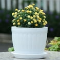 Travelwant Plastic Planters with Saucer Plant Pots with Multiple Drainage Holes, Small Indoor
