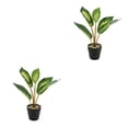 thumbnail image 4 of Wosthever Planta en maceta de tortuga realista, hojas artificiales para sala de estar, dormitorio, sin riego JH5476 JH5476 2piezas, 4 of 6