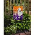 thumbnail image 2 of Carolines Treasures CK3220GF Hallween Silver Poodle Garden Size Flag, 2 of 3