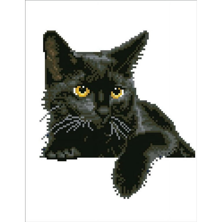 DIAMOND DOTZ® Black Cat Special Edition Diamond Painting Kit