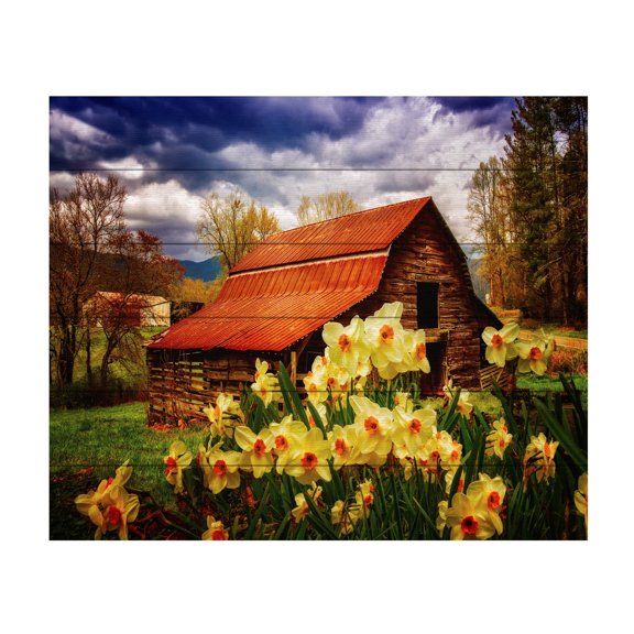 Celebrate Life Gallery 'Barn in Daffodils' Wood Slat Art