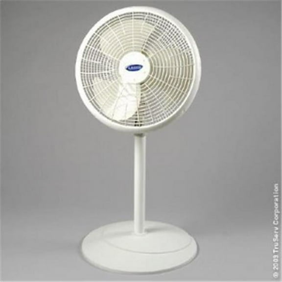 16   Oscillating Pedestal Fan