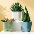 Indoor Flower with Saucer Ceramic Flower Stand 32 Flower Pots Planters