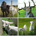 thumbnail image 5 of Farm Fence 4ft x 164ft 13Gauge Heavy Zinc Coating Cattle Fence,Galvanized Field Wire Fencing Deer Fence,Goat Fence,Hog Wire Fencing for Yard Livestock & Animals Protection, 5 of 7