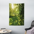 thumbnail image 1 of Green Tapestry, Summer Park in Hamburg Germany Trees Sunlight Forest Nature Theme Scenic Outdoors Picture, Wall Hanging for Bedroom Living Room Dorm Decor, 40W X 60L Inches, Green, by Ambesonne, 1 of 2