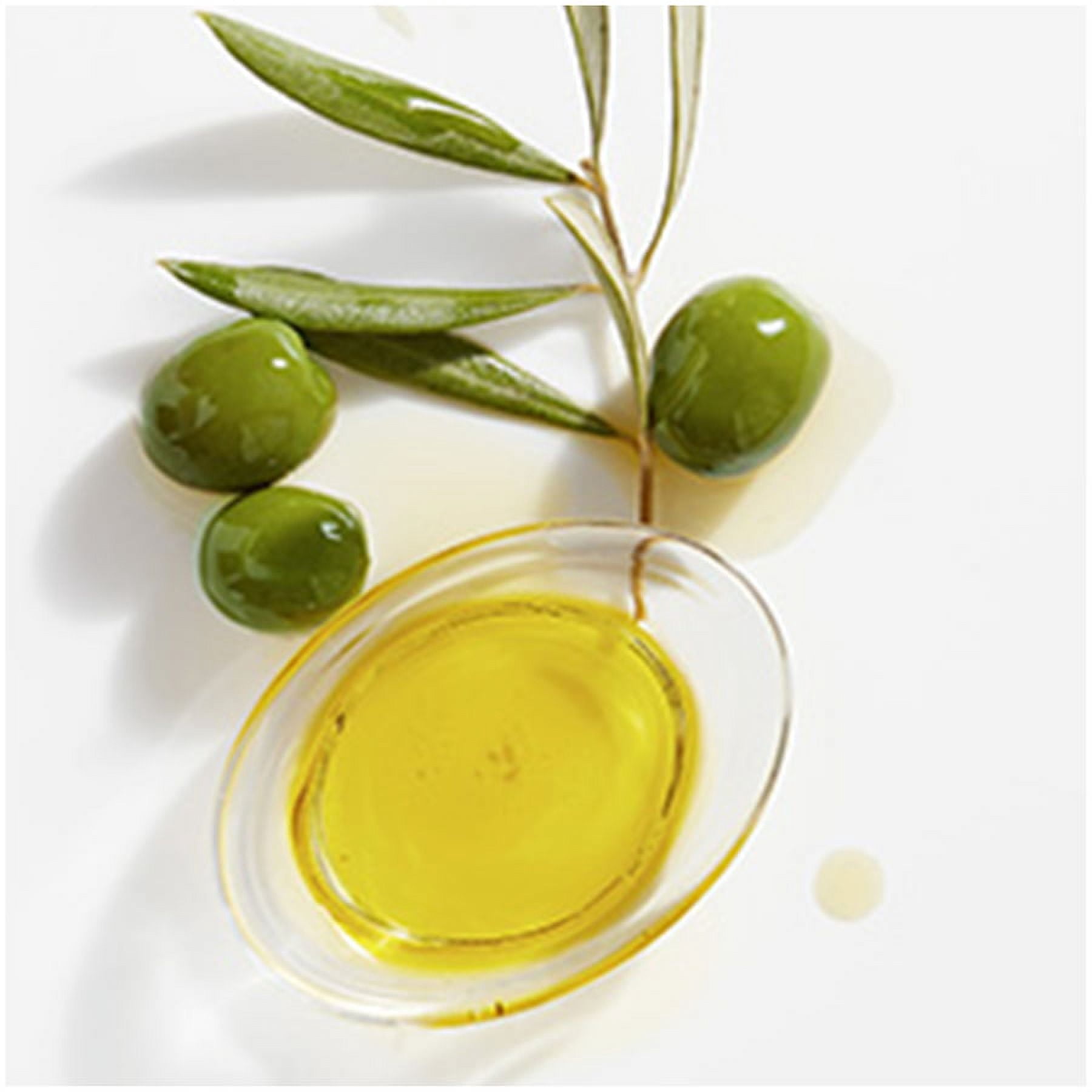 Garnier Whole Blends Replenishing Shampoo with Virgin-Pressed Olive Oil & Olive Leaf Extracts