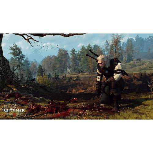 The Witcher 3 48 Minutes of Uncompressed PS4 & Xbox One Footage Showcases  One Beautiful Game