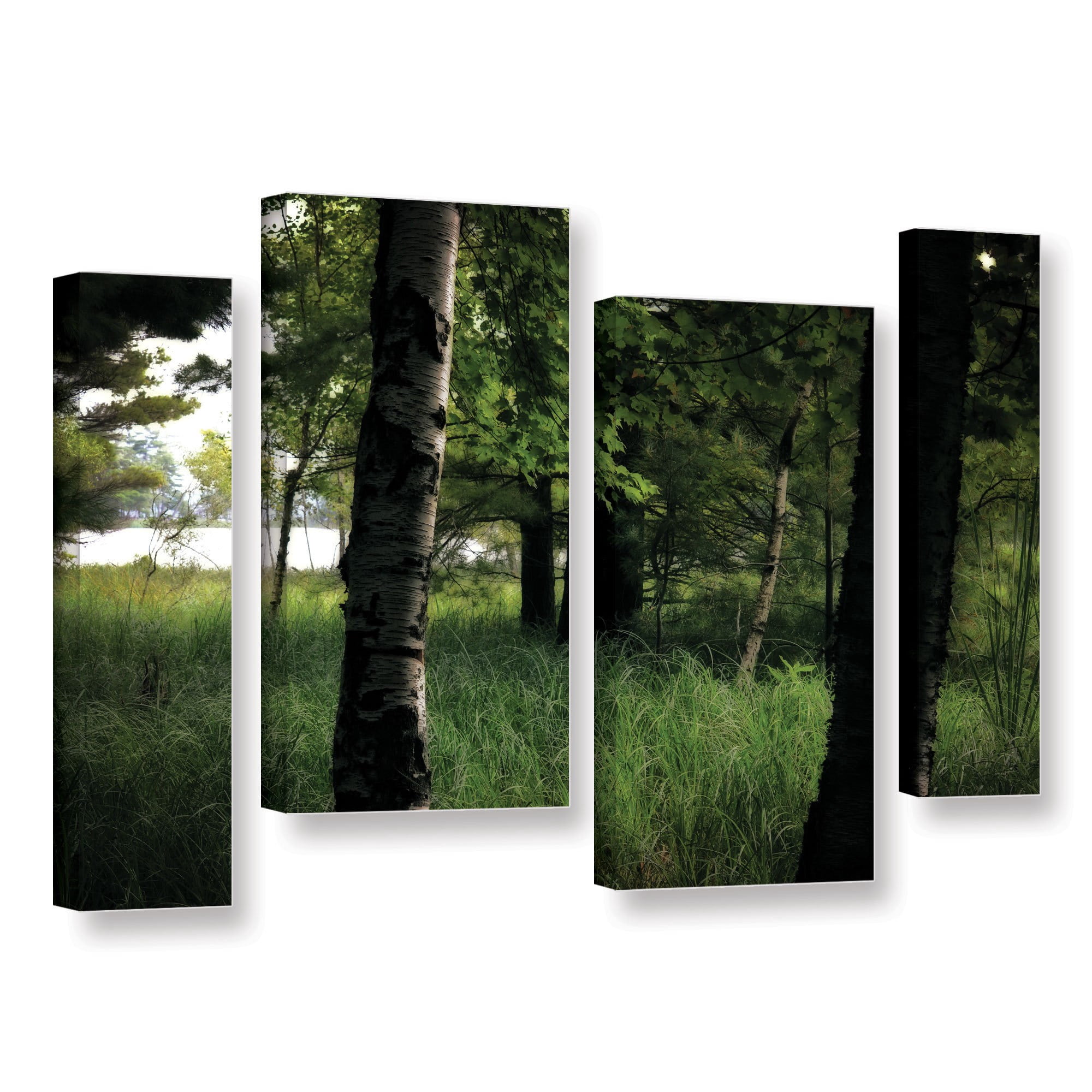 ArtWall Kevin Calkins "Birch and Pines" 4-Piece Gallery-Wrapped Canvas Staggered Set