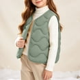 thumbnail image 5 of BLVB Toddler Puffer Vest Boys Girls down Vest Warm Fall Winter Jacket Lightweight Sleeveless Button down Coat for Kids(Green,3-4 Years), 5 of 9