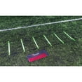 thumbnail image 1 of Precision  Adult Pinnacle Ladder, 1 of 1