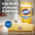 thumbnail image 2 of Clorox Disinfecting Wipes Value Pack, Fresh Scent and Citrus Blend, 75 Count (Pack of 3), 2 of 11