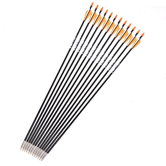 Plastic Fletched Fiberglass Arrows 12PCS Shaft Dia 7mm Hunting Arrow Archery