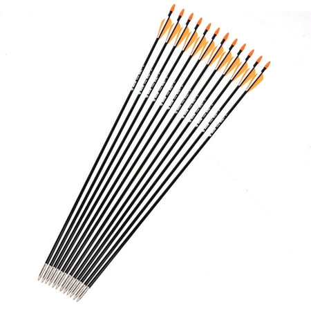 Plastic Fletched Fiberglass Arrows 12PCS Shaft Dia 7mm Hunting Arrow Archery