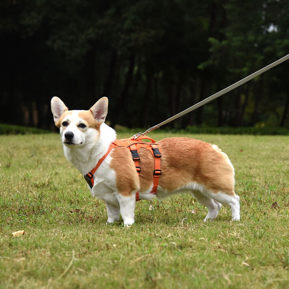 Pet Artist No Pull Dog Harness Escape Proof Reflective Adjustable Sport Vest with Handle Waterproof