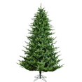 thumbnail image 1 of Vickerman A188575 7,5 Pi x 64 Po Takoma Sapin Plus Gras avec 1743 Tip Count, 1 of 1