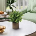 thumbnail image 4 of Spring Fake Plants, Artificial Tropical Small Pot Green Plants Indoor Office Table Kitchen Bathroom Home Decor, Semi Spherical Pulp Bonsai for Farmhouse Office Tabletop Decor, 1Pc(Green3,3x3x9.8"), 4 of 8