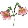 thumbnail image 2 of CafePress - Linnea Flower Mugs - 11 oz Ceramic Mug - Novelty Coffee Tea Cup, 2 of 4